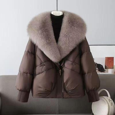 Winter Short Padded Coat Fashionable Youthful Design with Big Fur Collar Warm Cotton Jacket