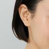 Vendome Aoyama Platinum Diamond Earrings Quatre APVA2258 DI [Official]