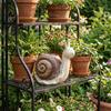 Multi-functional Resin Snail Flowerpot Cute Cartoon Creature Planter Decorative Snail Planter Home Decor