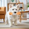 Dog Treat Dispenser Chew Toy Bite Resistant Puppy Food Leakage Feeder Toy Pet Dumbbell Teething Cleaning Interactive Enrichment Toy