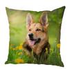 Peach Leather Cushion Cover Shepherd Dog Pillow  Pet  Animal   Suitable for Children's Room