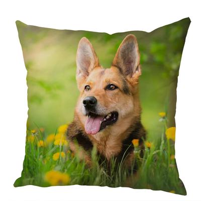 Textile pentru bucătărie și sufragerie – Huse pentru perne