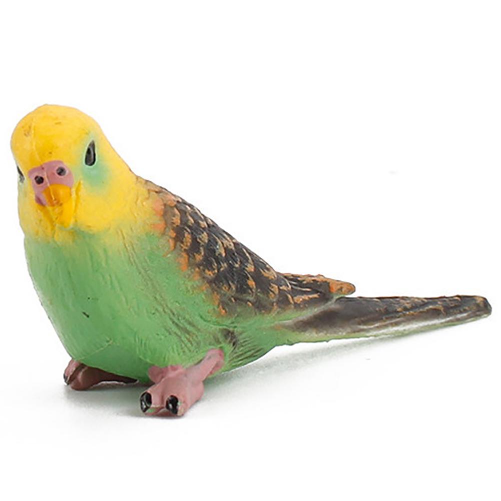 Simulation Bird Action Figures Parrot Macaws Budgerigar Lifelike Animals Model Kids Cognition Toys For Gifts