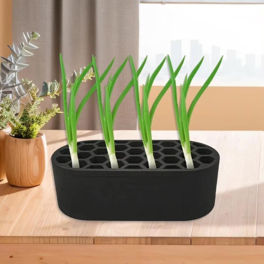 Plants Growing Scallion Regenerator Hydroponic Growing Tray Seedlings Starter Tray Home