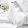 Fuanna Shuyan Antibacterial Summer Quilt