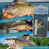 FTK 125pcs Carp Fishing Feeder Tool Set for Carp Fishing Binding Tools