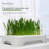 1pc Pet Cat Grass Planting Basin Wheat Seedling Soilless Culture Pot Hydroponic Growth System Gardening Accessories