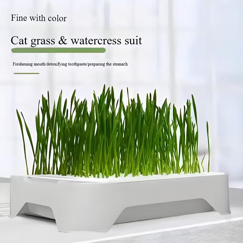 1pc Pet Cat Grass Planting Basin Wheat Seedling Soilless Culture Pot Hydroponic Growth System Gardening Accessories