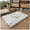 Warm Space Capsule Cat Bed with Cushion and Thick Blanket