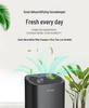 Compact Low-Noise Bathroom & Dorm Dehumidifier for Efficient Moisture Control