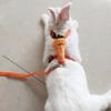 Piggies Hedgehogs With Safe Buckle Pet Traction Pet Leads Rope Bunny Costume Rabbit Harness Leash