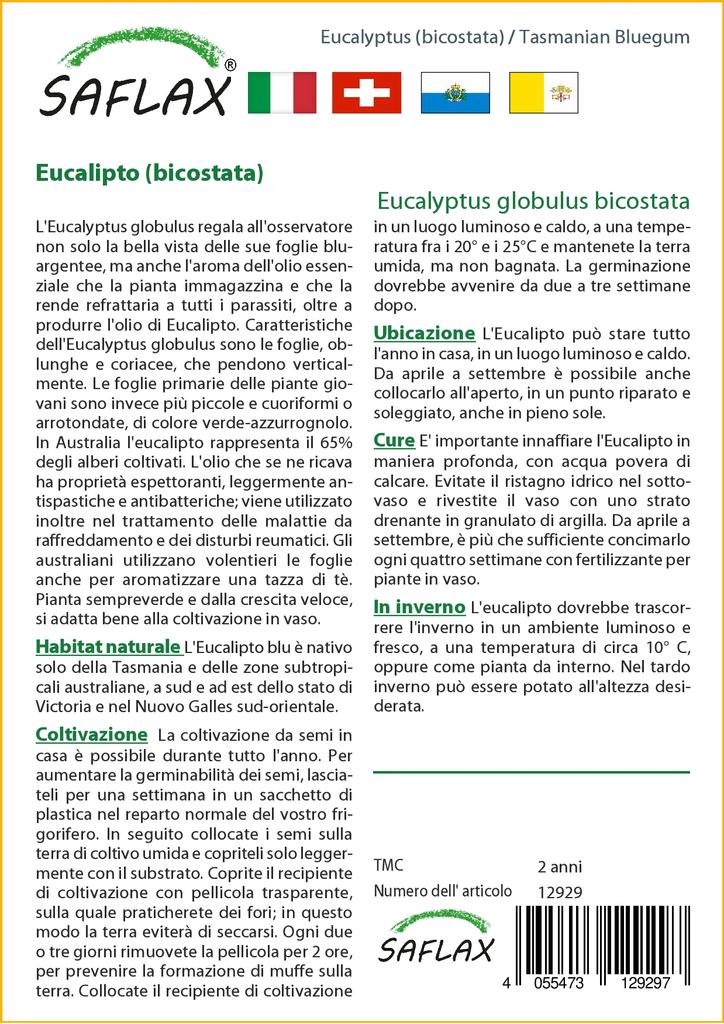 SAFLAX Tasmanian Bluegum - 100 Seeds - Eucalyptus Globulus
