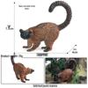Realistic Animal Heart Model Toy: Lemur, Raccoon, Orangutan, Baboon