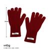 Fashion Korean Ins High-end Sense Solid Color Labeling Knitted Thermal Gloves Women's Versatile Cold-proof Five-finger Sleeves