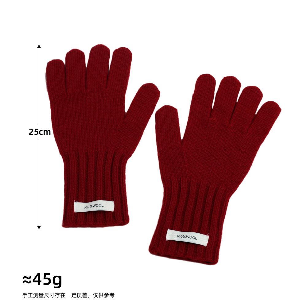 Fashion Korean Ins High-end Sense Solid Color Labeling Knitted Thermal Gloves Women's Versatile Cold-proof Five-finger Sleeves