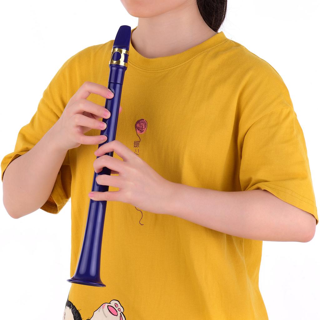 11 Hole C Key Mini Pocket Saxophone ABS with Alto Mouthpiece Ligature 4pcs Reeds 8pcs Dental Pads Finger Charts