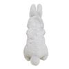 Sun Lemon Knee Rabbit Sleeping Gray 17x14x36cm Stuffed Animal P-9532