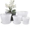Plastic Transparent Stomata Flowerpot Plant Pots Orchid Pot For Phalaenopsis Orchid Planting