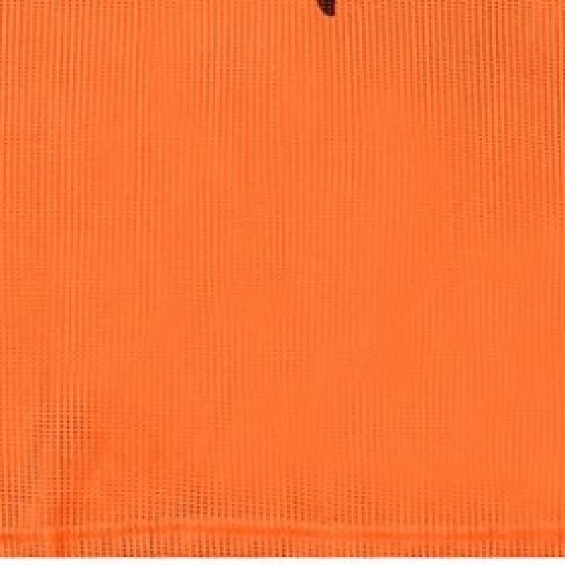 Puma Team Vest Bib Vest