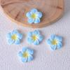 Frangipani Harzblume DIY Schmuck: Schlüsselanhänger, Anhänger, Haarspangen und Aufnäher