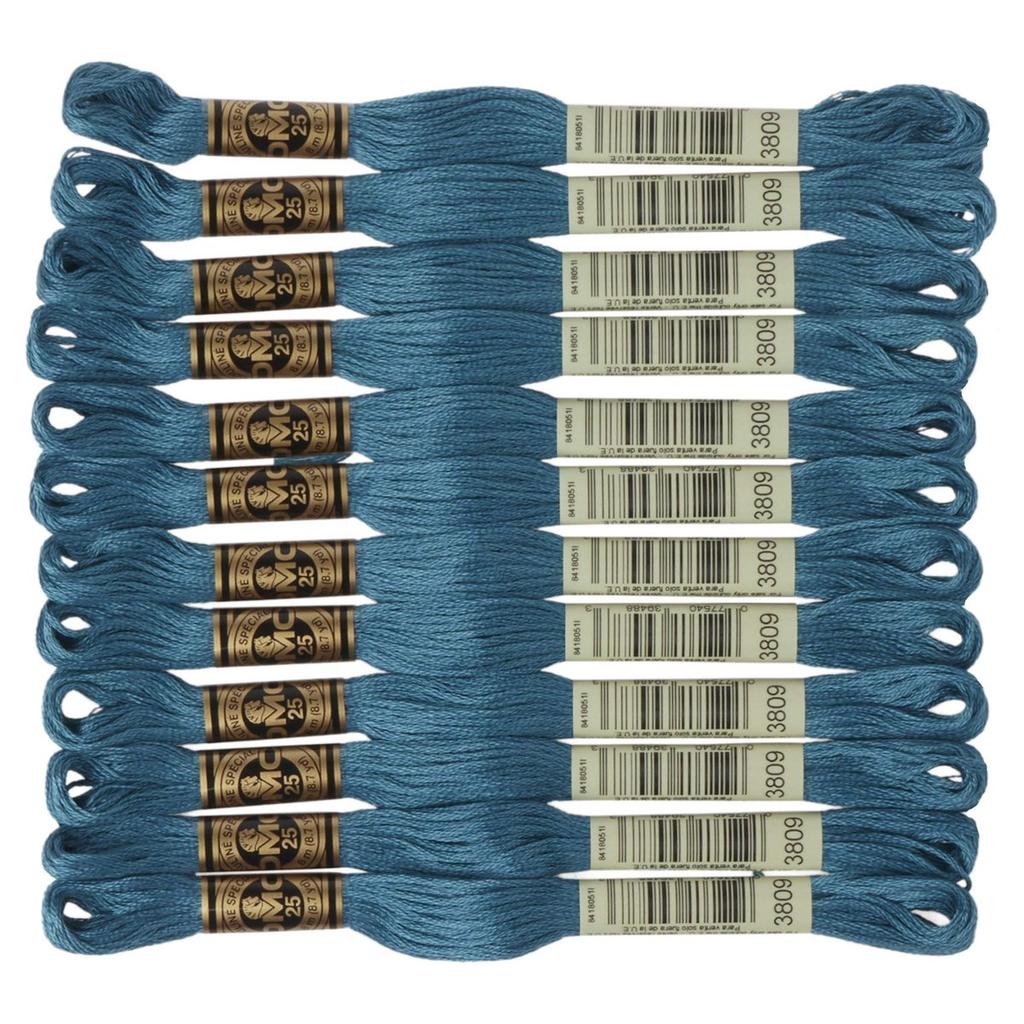 DMC 25 Embroidery Floss Thread Color #3809 Green Pack of 12 Skeins DMC25B
