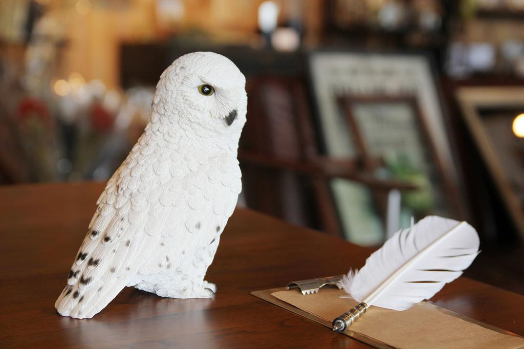 Magnetic Piggy Bank White 16 x 18 x 9 cm Pet Bank Snowy Owl 1278 Approx.