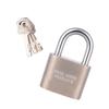 Brass Cylinder Heavy Duty Top Security Padlock 50mm with 3 Keys Imported Lock B08RWBLWGJ
