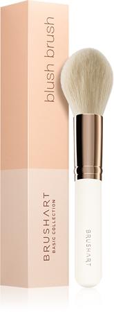 

BrushArt Basic Blush brush blush brush TU прозрачный