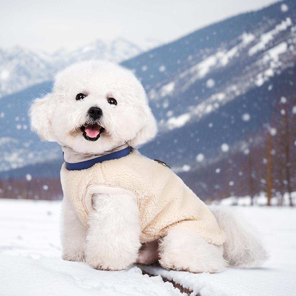 Winter dog cotton clothes windproof velvet teddy bear warm puppy clothes pet clothes dog cotton clothes
