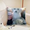 cushion cover Plush Cat Fabric Soft Double cute Sided Funny Print Sofa Cushion Cover Throw Pillow Covers