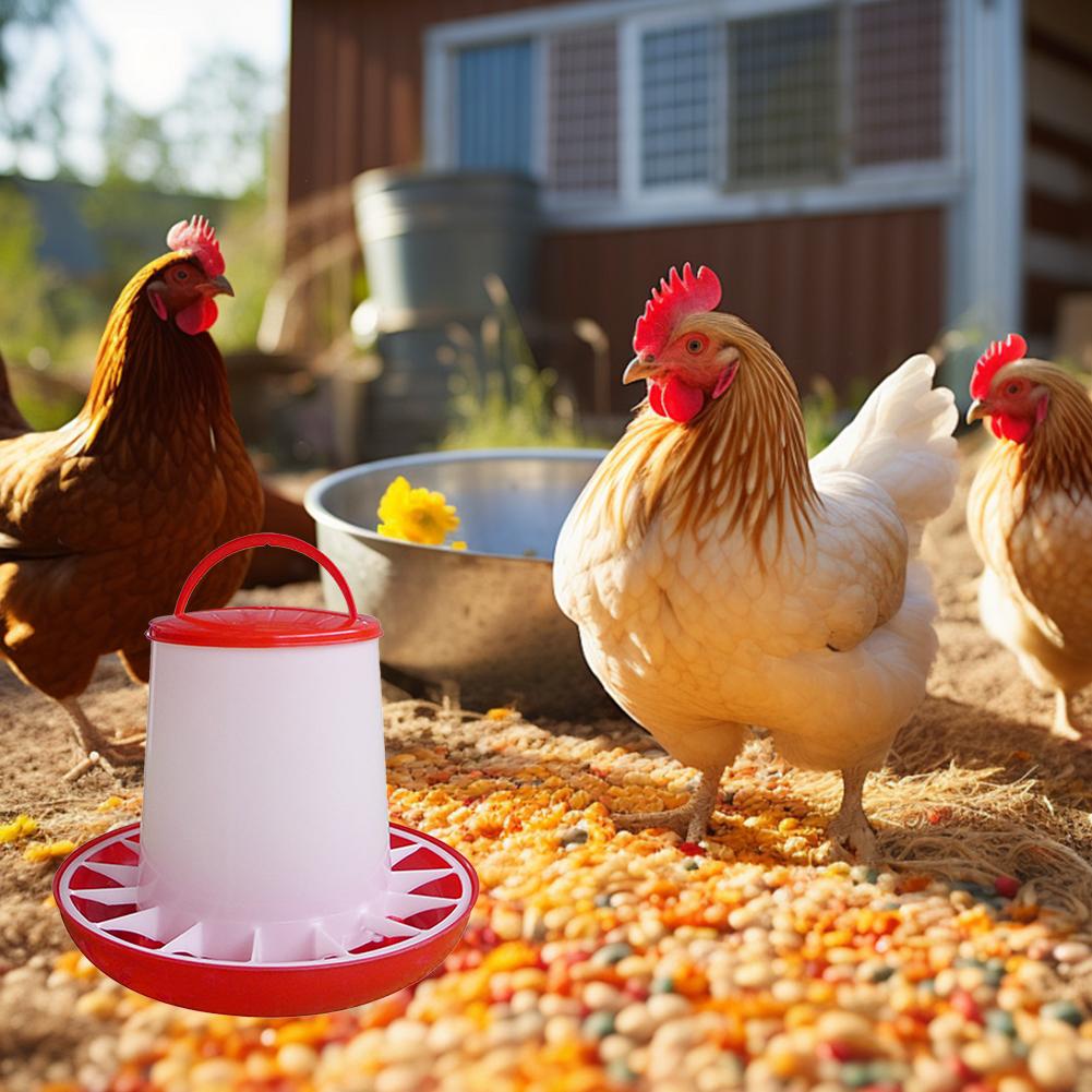 1KG Automatic Chicken Feeder Bucket Rooster Hen Feeding Farm Animal Device, Supplies Poultry Qu G2E3