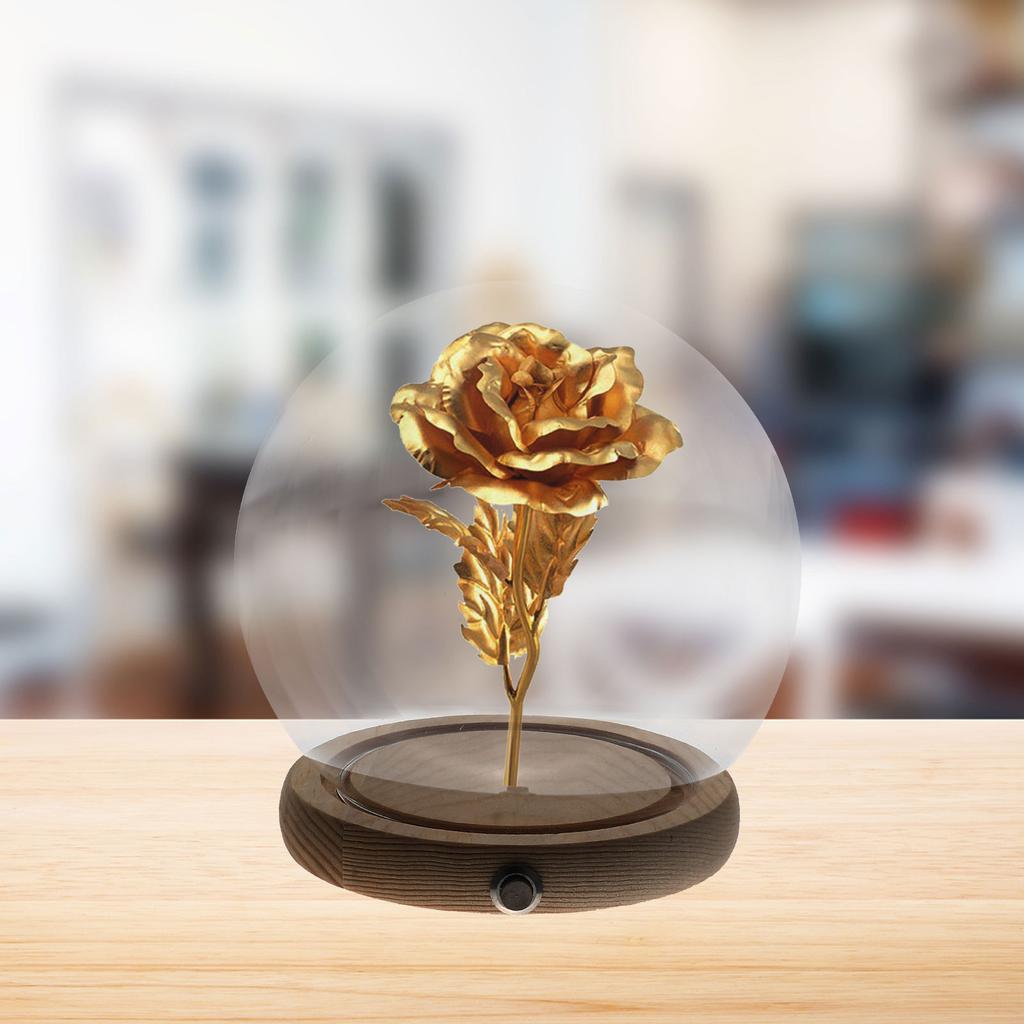 Hand-Made Glass Cover Dome LED Decor Plant with Glowing Base Cloche Wooden Preserved Flower Display Case Decorate Toddler