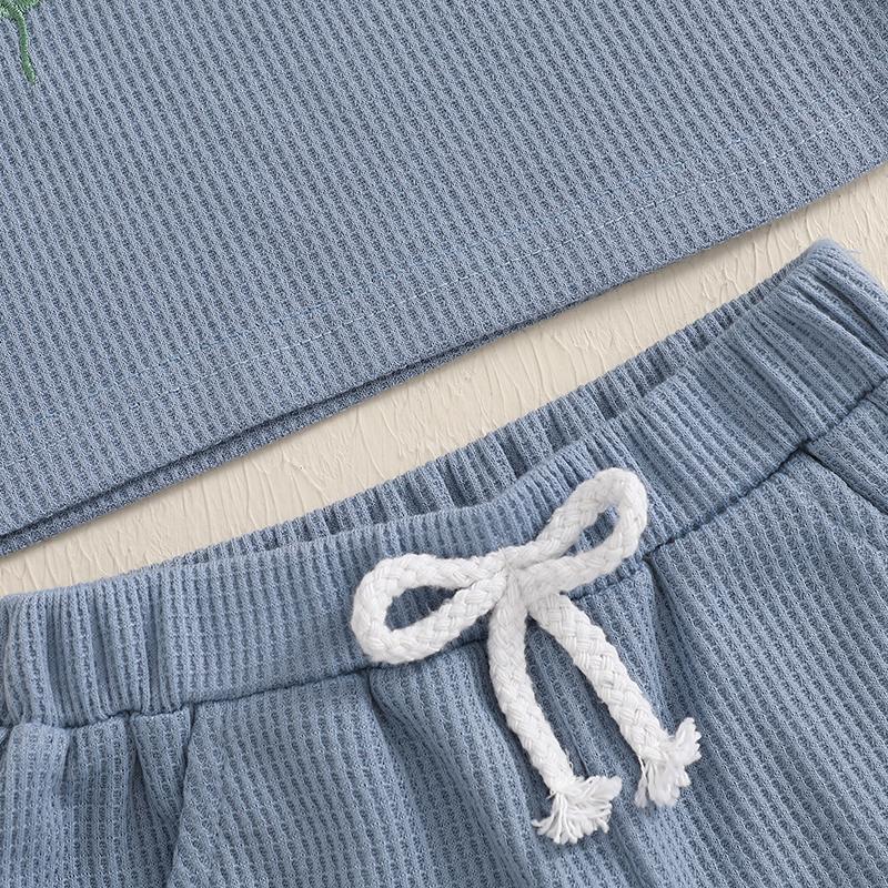 Toddler Girl Summer Waffled Clothes 3D Flower Short Sleeve Round Neck Tops Elastic Waist Shorts Children Outfit
