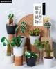 Crocheted Houseplant Made with Embroidery Thread (applemints)