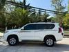 Toyota Prado 2010-2020 Body Decals: Creative Racing Stripes & Original Color Designs