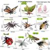 Large Insect Toy Set: Butterfly, Bee, Dragonfly, Ant, Cicada, and Rhinoceros Beetle Models for Kids