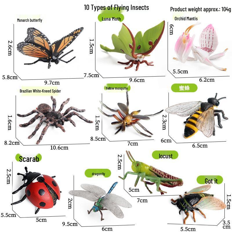 Large Insect Toy Set: Butterfly, Bee, Dragonfly, Ant, Cicada, and Rhinoceros Beetle Models for Kids