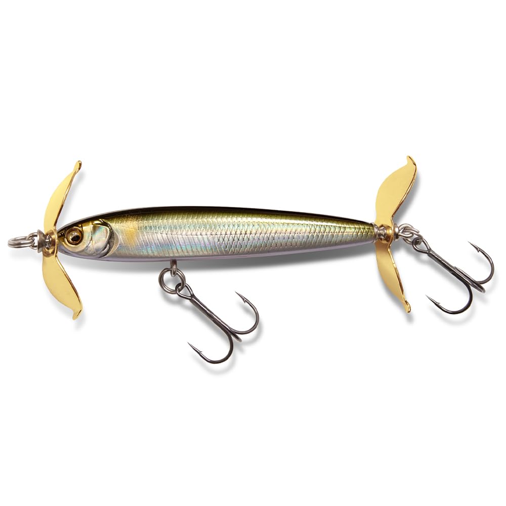 

LEVEL SWIMMER SH Rapid Ayu (SP-C)