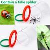 Insert Bug Viewer for Kids,4PCS Magnifying Insect Box Bug Catcher Kit for Kids Bugs Magnifier Container Critter Insect Bugs Cage,Magnifier Backyard