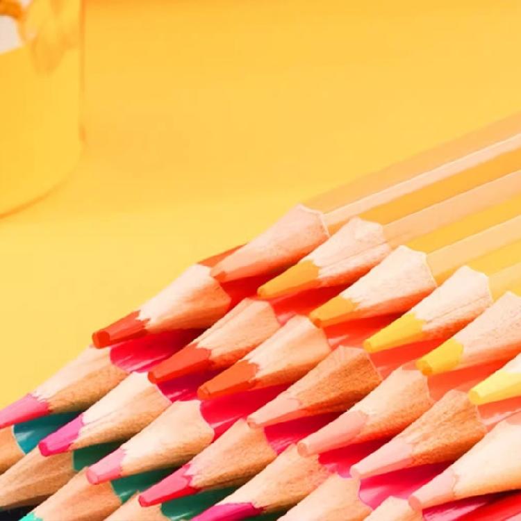 24/36/48 Color Sketching Pencil Easy to Color Drawing Pencils Colored Pencils for Kid Adult