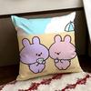 Asamimichaan Asleep Cushion Cover Reversible Soft Durable Pillow Cover Home  Car MultiScene Use for Daily Comfort