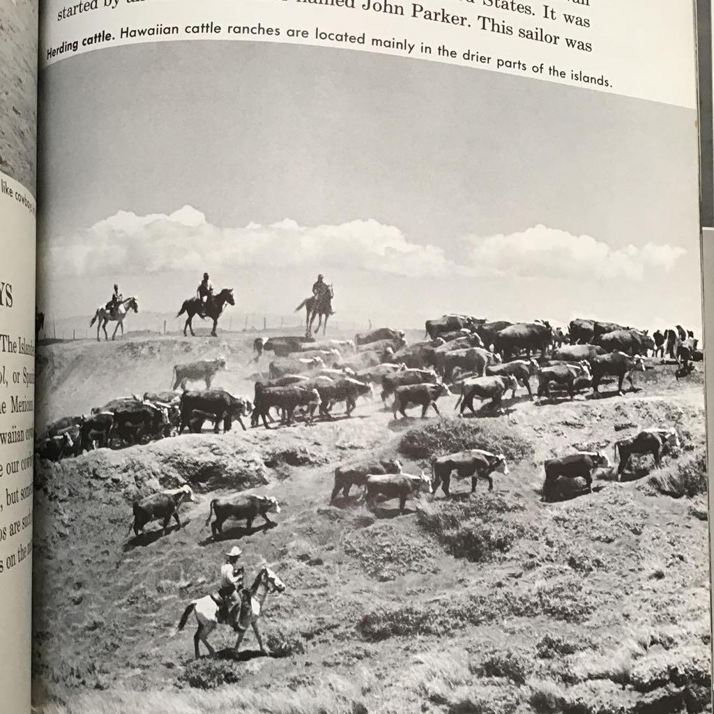 [USED] Old Hawaii Books, Foreign Books & Albums, Hawaii, Vintage