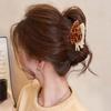 Korean Style Conch Hair Claw Beach Headwear Geometry Shark Clip Ocean Series Hair Claw  Women