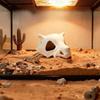 Fish Tank Oranament Aquarium Decor 3D Printed Anime Style Skull Reptile Hideouts for Terrarium Habitat 100% Safe Home Decoration
