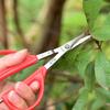 Grape Scissors Tweezers Gardening Tool Scissors 2-in-1 Branch Bonsai Scissors With Tweezers Fruit Grape Picking Tool