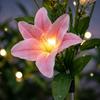 Stainless Steel Ground Stake Lamps 2Pcs Artificial Flower Solar Lights, Lily Bamboo Wisteria Garden Lights Powered Firefly Waterproof Pathway