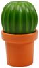 QUALY Tasty Cactus Salt and Pepper Shakers, Orange, 5.5 X 5.5 X 9.4 Cm, 5217091OR