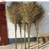Heavy-Duty Bamboo Road Sweeping Broom