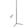 Corner Floor Lamp Dimmable RGB Color Changing Music Sync Modern LED Standing Lamp with Remote