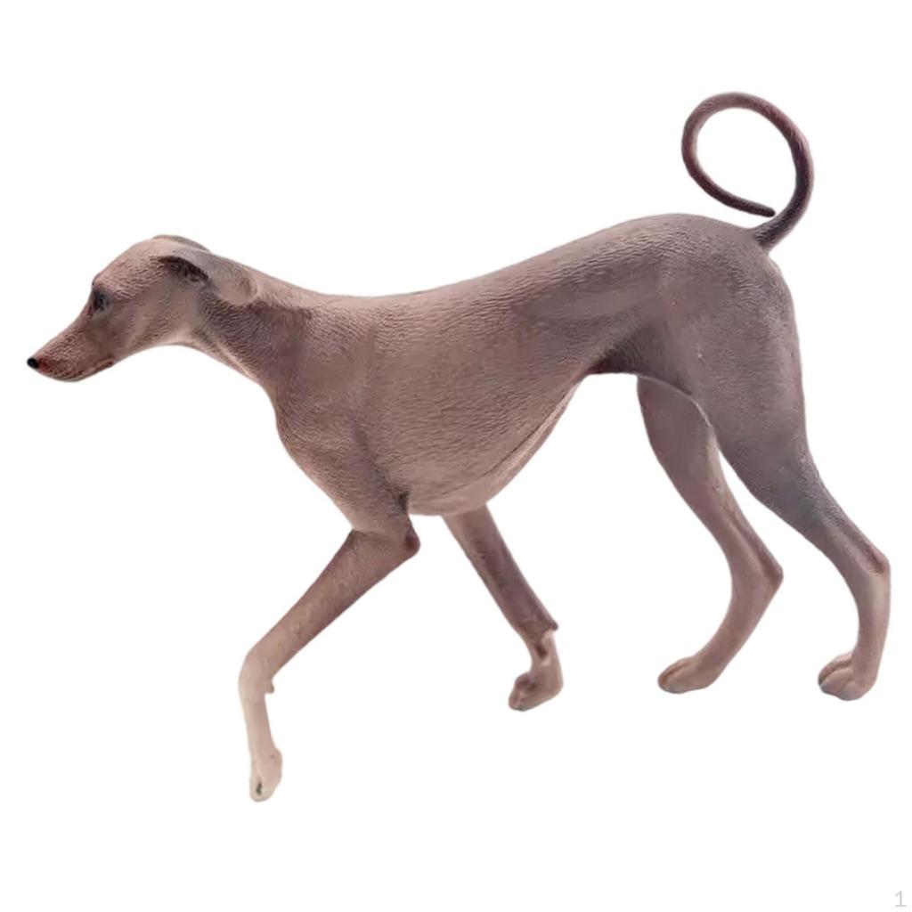 Azawakh Dog Actress, Realistic Figure -Wulpe -sculpture -Simulation Model for Party Home Living
